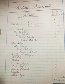 Palmas in the Archive